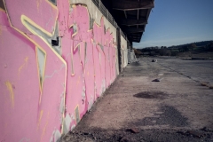 P1030536