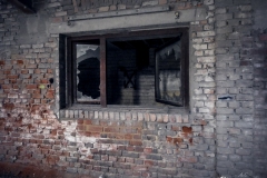 P1030538