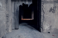 P1030703