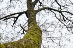 LR-IMG_0479