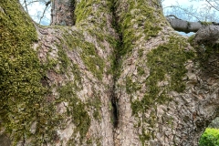 LR-IMG_0480