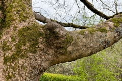 LR-IMG_0481