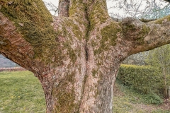 LR-IMG_0482