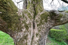 LR-IMG_0490