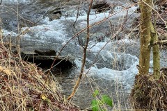 IMG_8328