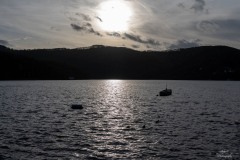 NZ7_6094
