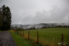 IMG_0376 IMG_0376