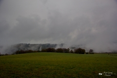 IMG_0381 IMG_0381
