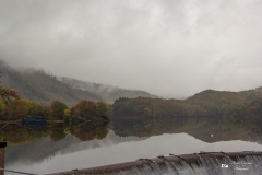 IMG_0417 IMG_0417