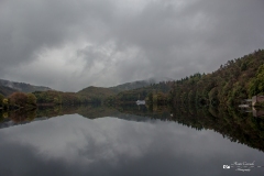 IMG_0423 IMG_0423