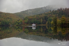 IMG_0427 IMG_0427