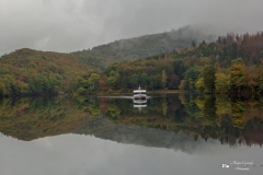 IMG_0428 IMG_0428