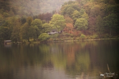 IMG_0438 IMG_0438
