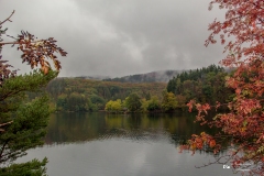 IMG_0451 IMG_0451