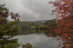 IMG_0453 IMG_0453
