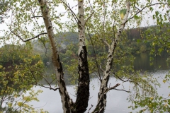IMG_0454 IMG_0454