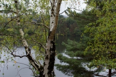 IMG_0455 IMG_0455