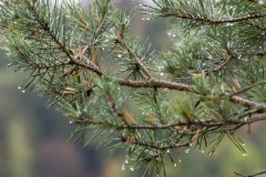 IMG_0457 IMG_0457
