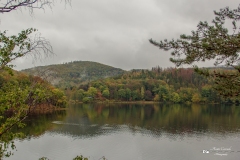 IMG_0460 IMG_0460