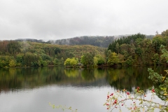 IMG_0470 IMG_0470