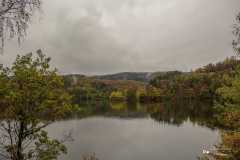 IMG_0475 IMG_0475