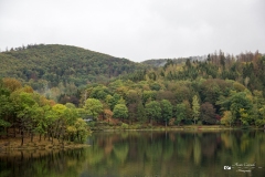 IMG_0483 IMG_0483