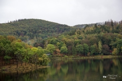 IMG_0484 IMG_0484