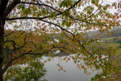 IMG_0521 IMG_0521