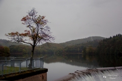 IMG_0532 IMG_0532