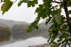 IMG_0539 IMG_0539