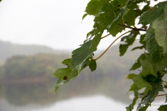 IMG_0540 IMG_0540