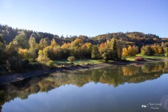 IMG_7571