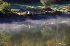 IMG_7582