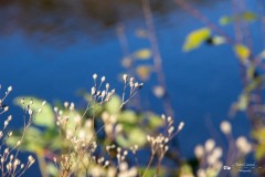 IMG_7604