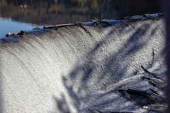 IMG_7610