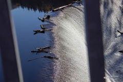 IMG_7618