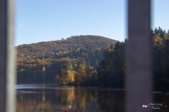 IMG_7619