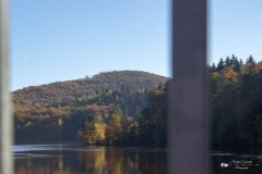 IMG_7620