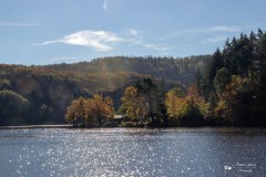 IMG_7662