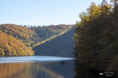 IMG_7677