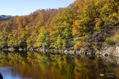 IMG_7682