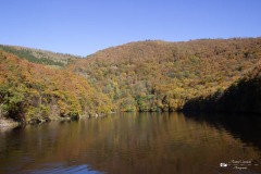 IMG_7685