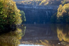 IMG_7689