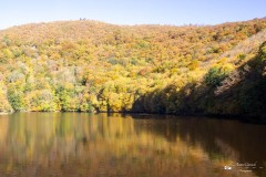 IMG_7700
