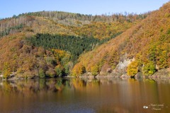 IMG_7737