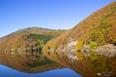 IMG_7739