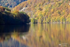 IMG_7741