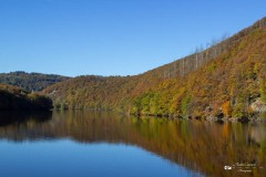 IMG_7742