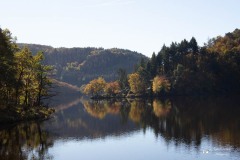 IMG_7758