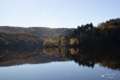 IMG_7765